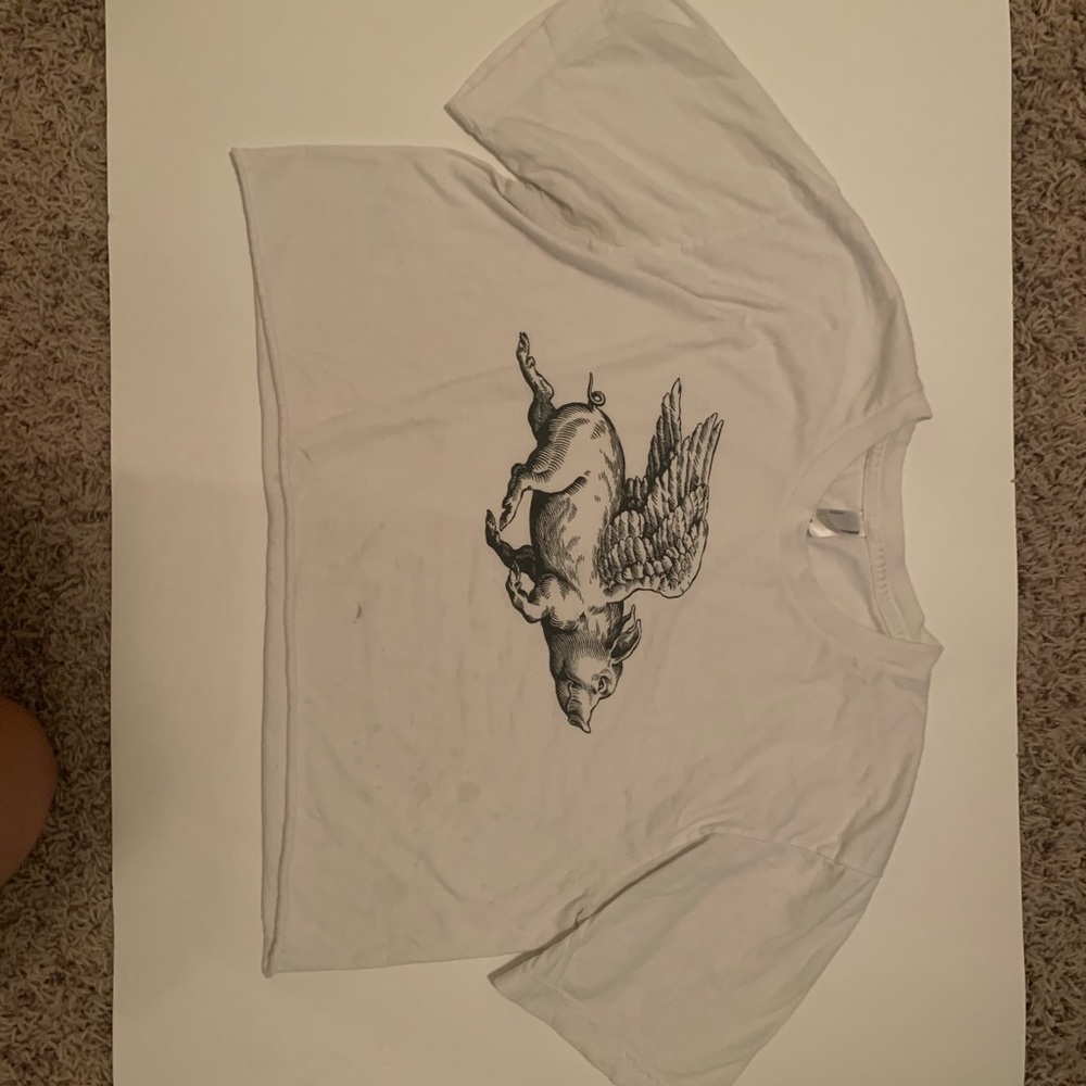 When Pigs Fly Crop Top